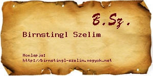 Birnstingl Szelim névjegykártya